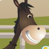 Horsey Run Run - 