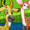 Animal Park - 