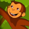 Monkey Hidden Game -