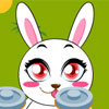 Rabbit Marathon - 