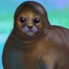 My Sweet Seal - 