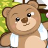 Bear Spa - 