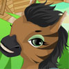 Horse Farm Assistant - 