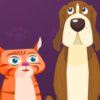 Pet Shop - 