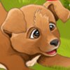 Hannah Sweet Puppies - 
