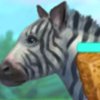 Feed The Zebra - 