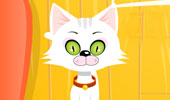 Virtual Cat - 