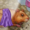 Hamster Daycare - 