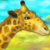 Giraffe Zoo - 