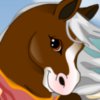 Bevs First Horse - 