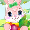 Docile Rabbit - 