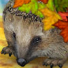 Forest Hedgehog - Fun Pet Carrying Games Online