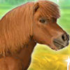 My Dear Pony - Pony Pet Carrying Games