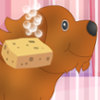 Cute Pets Carrying - Pets Management Games