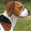 Beagle Training - Pet Caring Games For Kids