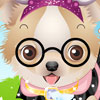 Caring For A Puppy - Free Dog Care Games
