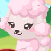 Poodle Care - Animal Care Games For Girls