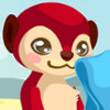 Meerkat Care - Pet Care Games
