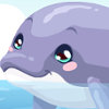Dolphin Care - Animal Care Games Online