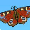 Baby Butterfly - Play Animal Caring Games 