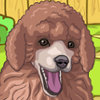 Cute Poodle Puppy - Play Pet Caring Games