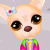 Chihuahua Caring - Dog Care Games