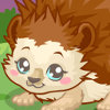 Hedgehog Care - Fun Animal Care Games