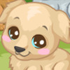 Labrador Care - Online Animal Care Games 