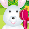 Cute Bunny Care - Online Animal Care Games 