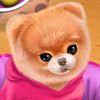 Baby Doggy Boo - Animal Care Games