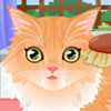 Kitty Groomer - Animal Care Games 
