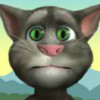 Talking Tom On A Picnic - Free Decoration Games