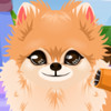 Puppy Groomer - Pet Grooming Games 