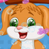Cute Puppy Caring - Puppy Caring Games