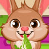 Cute Bunny Care 2 - Bunny Care Games 
