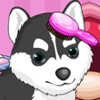 Cats And Dogs Grooming Salon - Pet Grooming Salon Games 