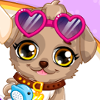Puppy Makeover Hair Salon - Puppy Makeover Games
