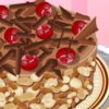 Chocolate Cake - 