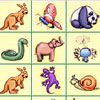 Zoo Amigos - 