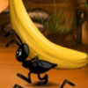 Ant Hill Picnic - 