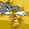 Run Jerry Run - 