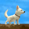 Run Bolt Run - 