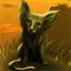 Animal Kingdom - 