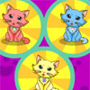 Kitten Spot - 