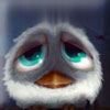 Birdies - 
