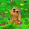 Dream Garden - 