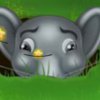 Sisi The Mice Catcher - 