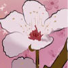 Spring Flowers - 